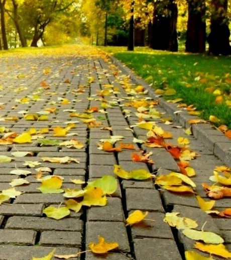 باید کسی باشد
که بی دلیل دوستت بدارد
بی موقع پیام بدهد،