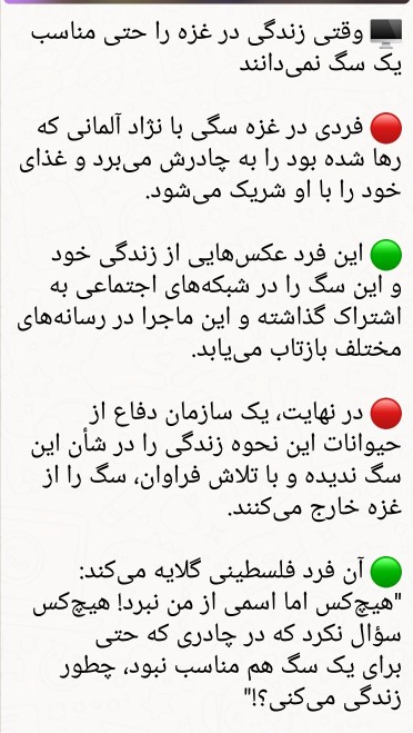  وقتی زندگی در غزه را حتی مناسب یک سگ نمی‌دانند
