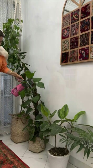 شبتون بخیر