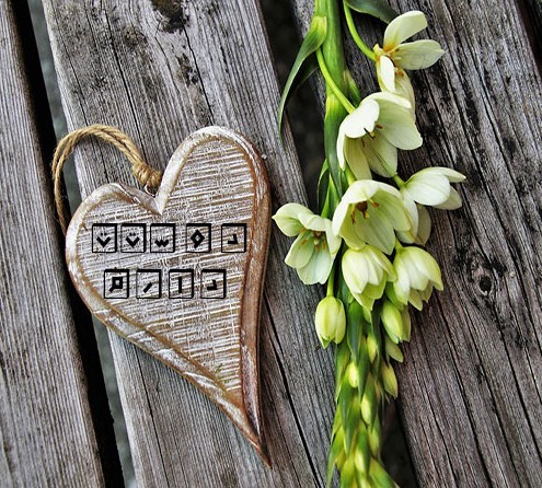 سلام زندگی❣
