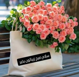 سلام روزگار بکام