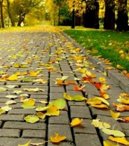 باید کسی باشد
که بی دلیل دوستت بدارد
بی موقع پیام بدهد،