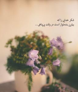 خدایا شکرت 💫🌺
