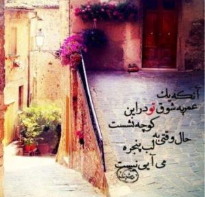 شعر 