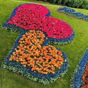🍃🍃🍃 مولانا  چه زیبا  گفت  **