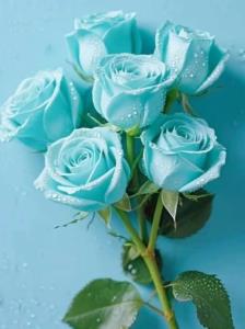 زود تصمیم نگیر