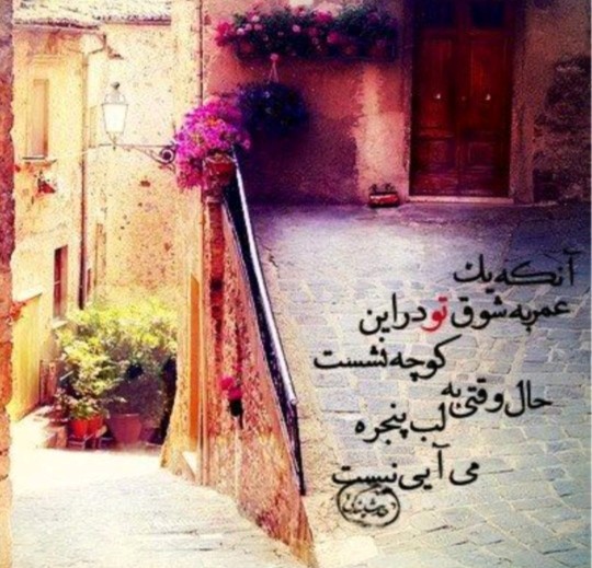شعر 