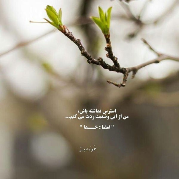 درود☀️💐🌹