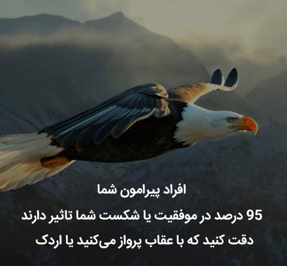 عقاب باش