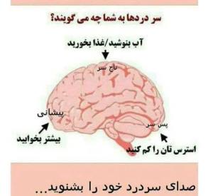 زبان سر دردها را بشناسید
