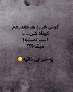 حکایت بعضی ها توی خبری ☝️☝️🙄