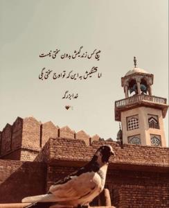 خدایا بزرگیت رو شکر ❤️
