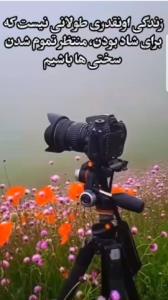 نصیحت ناب