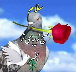 سلام صبحتون بخیر عزیزم 