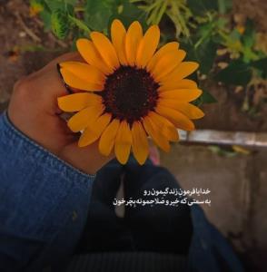 آمین 🤲🏻🤲🏻