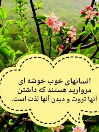 🌹🌹🌹