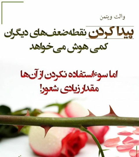 پیدا کردن 