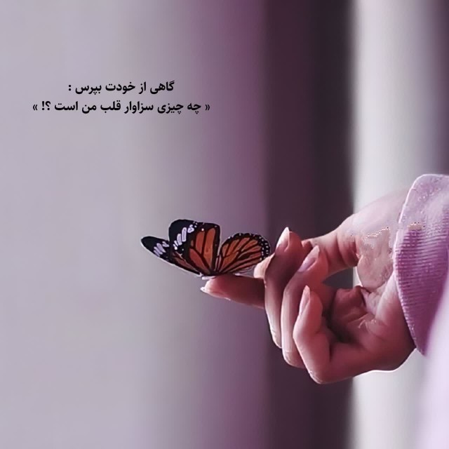 گاهی از خودت بپرس 
چه چیزی سزاوار قلب من است؟!