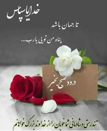 ،،،،،، سلام صبح بخیر همیشه دلتان شاد و همیشه بهاری ،🌺🌹🏵️