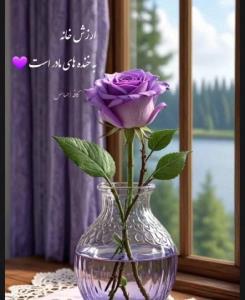ارزش خانه به خنده های مادر است 