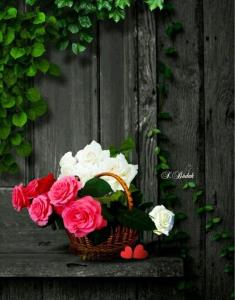 سلام زندگی💕