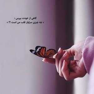 گاهی از خودت بپرس 
چه چیزی سزاوار قلب من است؟!