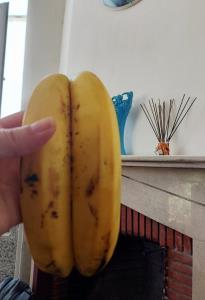 اینم واسه ددستانی که باور نکردن😂