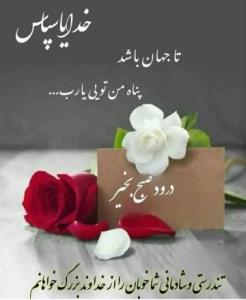 ،،،،،، سلام صبح بخیر همیشه دلتان شاد و همیشه بهاری ،🌺🌹🏵️