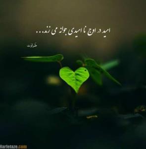 ،🌱🌱