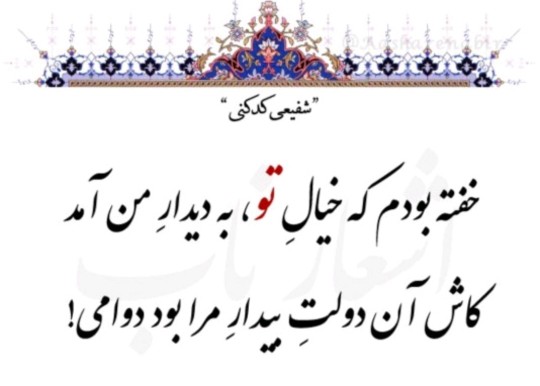 شعر 