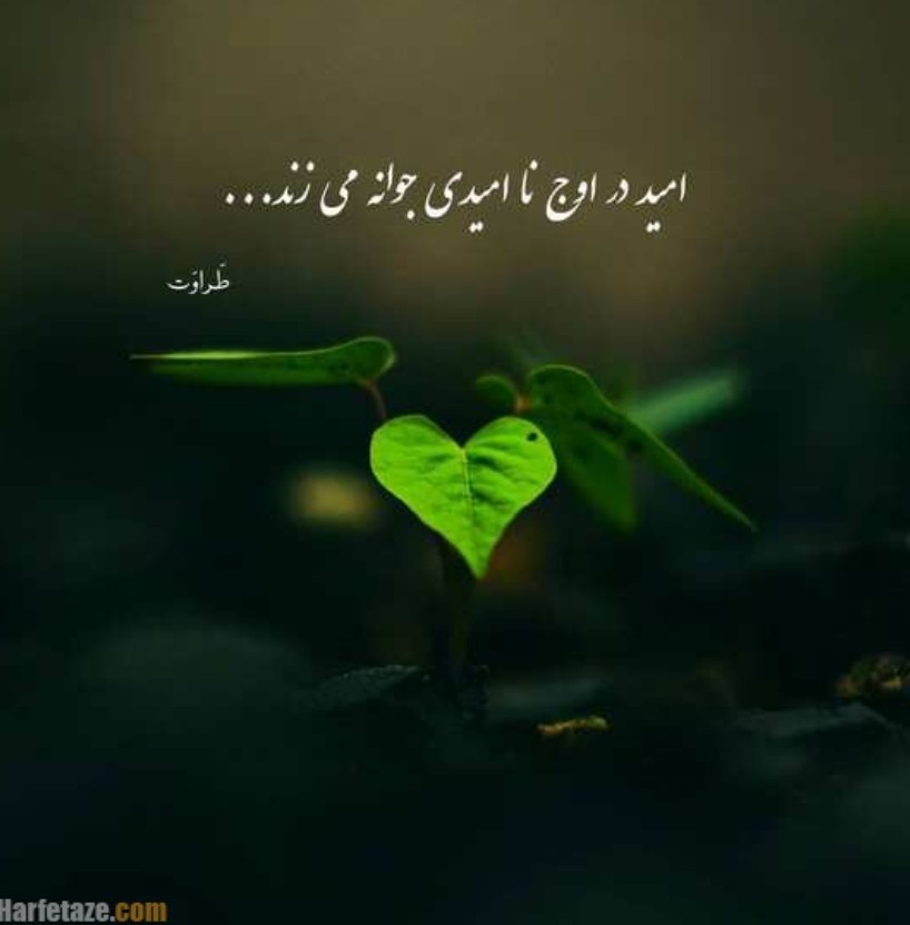 ،🌱🌱
