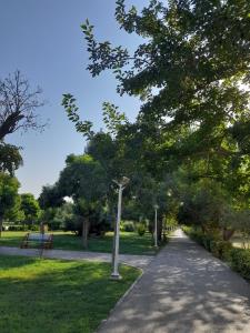 سلام دوستان خوب عکاسخونه روزتون بخیر و خوشی 🙋‍♀️حالتون 