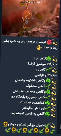 شب  دوستان خوبم خوش🌷🌷☺️☺️