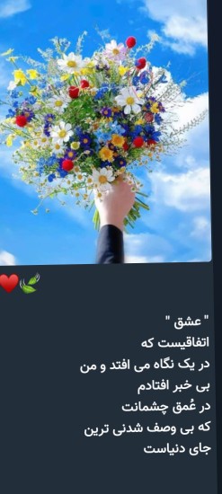🌷🌷🌷