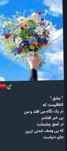 🌷🌷🌷