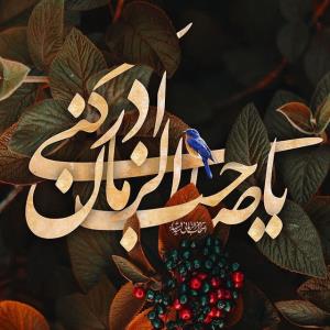 اللهم صل علی محمد و آل محمد و عجل فرجهم 🌺