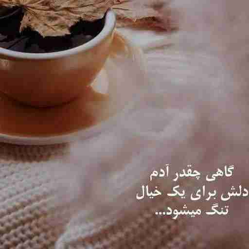 شبتان بخیر