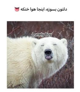 😂😂😂😂😂😂