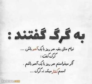 شخصیت  خوب چیزیه ..آویزون بودن وگرنه کاری ندارع...😉