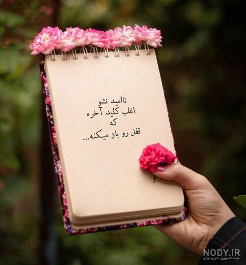 ،🌹🌹
