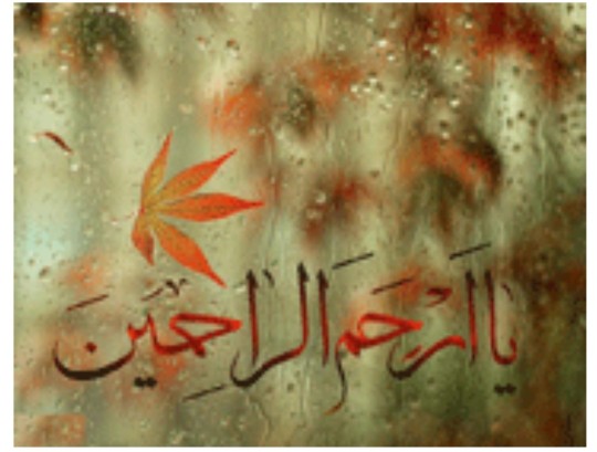 یا ارحم الراحمین