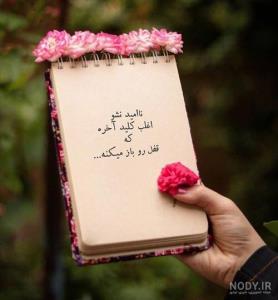 ،🌹🌹