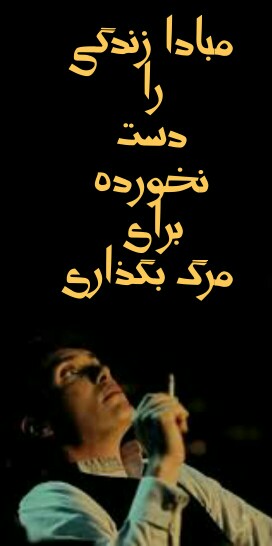 ⭐️💙هر کس یک نابغه است؛ ولی اگر ماهی را از روی توانایی‌اش در