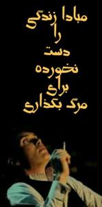 ⭐️💙هر کس یک نابغه است؛ ولی اگر ماهی را از روی توانایی‌اش در