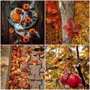 کمی صبر کنیم قشنگی های ،پائیز در راهه💚💚