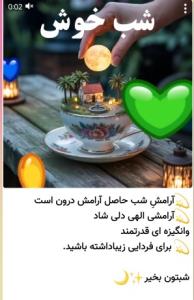 شبتون پرازآرامش ونور خدا دوستان بامعرفت ✋️✋️