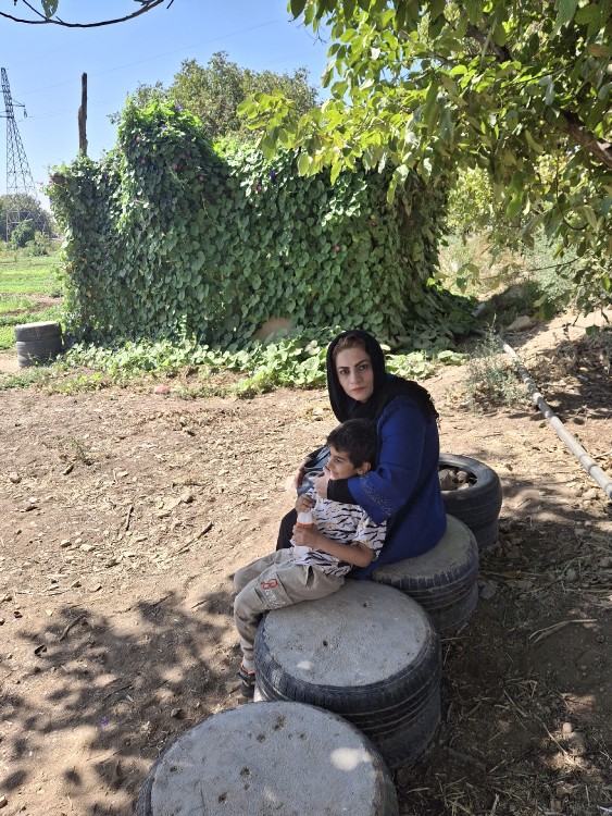 نودشه