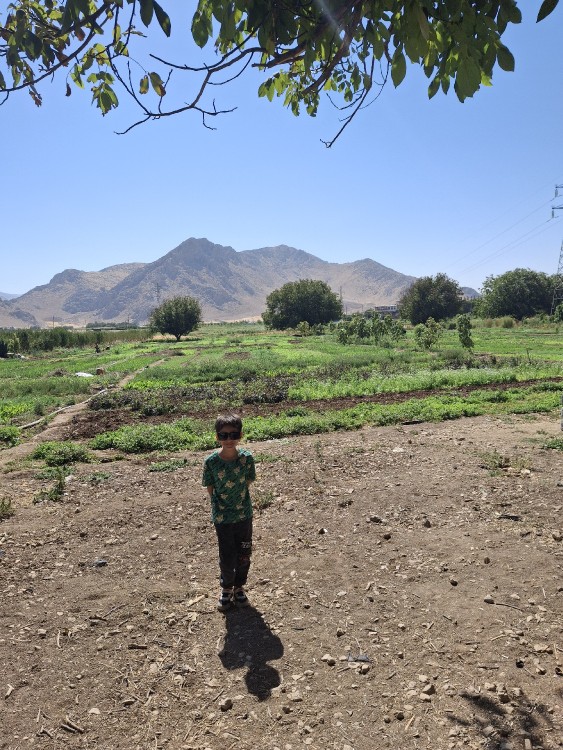 نودشه