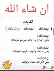 خدا لعنت کنه غارتگران سفره مردم رو 💕🇮🇷🥀