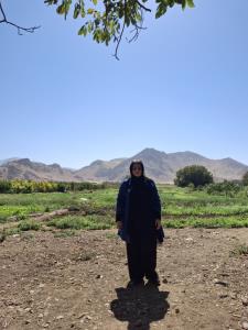 نودشه